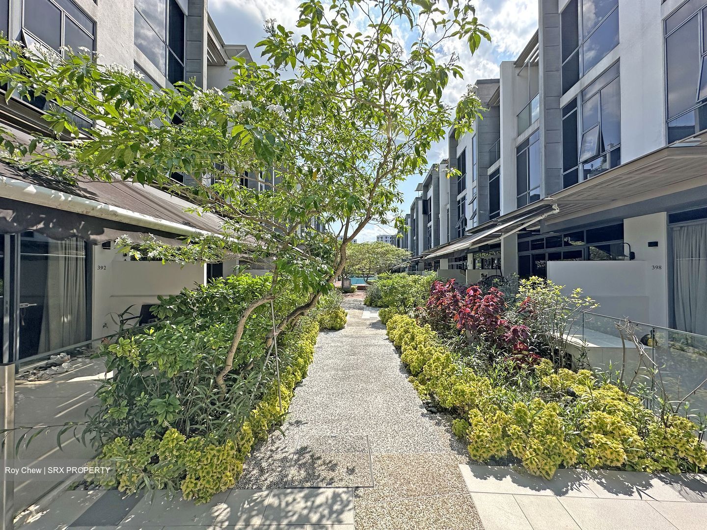 Belgravia Villas (D28), Terrace #466271691